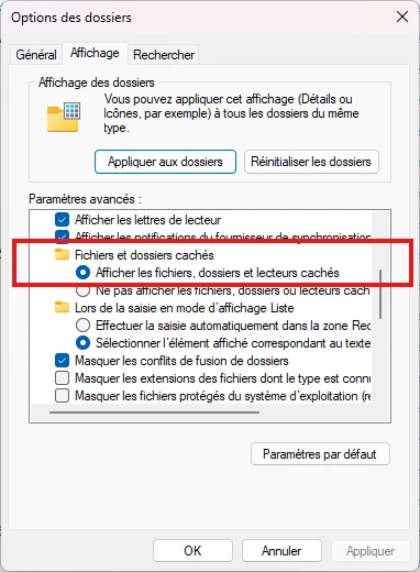 Afficher les elements masques dans Windows